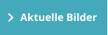 Aktuelle Bilder