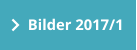 Bilder 2017/1